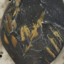 Load image into Gallery viewer, Pteridophyte Fossil Necklace (X-Large) - 300 Million Yrs Old