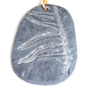 Pteridophyte Fossil Necklace (Large) - 300 Million Yrs Old