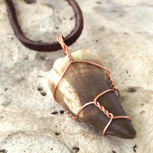 Mosasauras Tooth (66 - 82 Million Years Old) Necklace