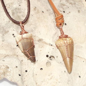 Mosasauras Tooth (66 - 82 Million Year Old Fossil) Necklace