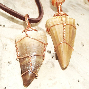 Mosasauras Tooth (66 - 82 Million Year Old Fossil) Necklace