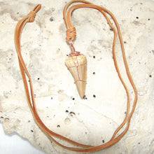 Load image into Gallery viewer, Mosasauras Tooth (66 - 82 Million Year Old Fossil) Necklace