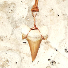 Load image into Gallery viewer, C. Auriculatus Fossil Shark Tooth (33-55 Million Years Old) Necklace