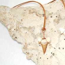 Load image into Gallery viewer, C. Auriculatus Fossil Shark Tooth (33-55 Million Years Old) Necklace