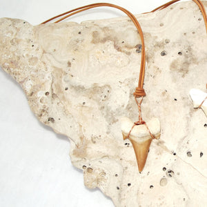 C. Auriculatus Fossil Shark Tooth (33-55 Million Years Old) Necklace