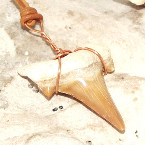 C. Auriculatus Fossil Shark Tooth (33-55 Million Years Old) Necklace