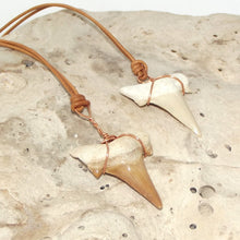 Load image into Gallery viewer, C. Auriculatus Fossil Shark Tooth (33-55 Million Years Old) Necklace