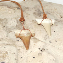 Load image into Gallery viewer, C. Auriculatus Fossil Shark Tooth (33-55 Million Years Old) Necklace