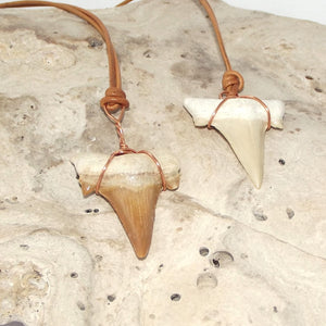 C. Auriculatus Fossil Shark Tooth (33-55 Million Years Old) Necklace