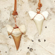 Load image into Gallery viewer, C. Auriculatus Fossil Shark Tooth (33-55 Million Years Old) Necklace