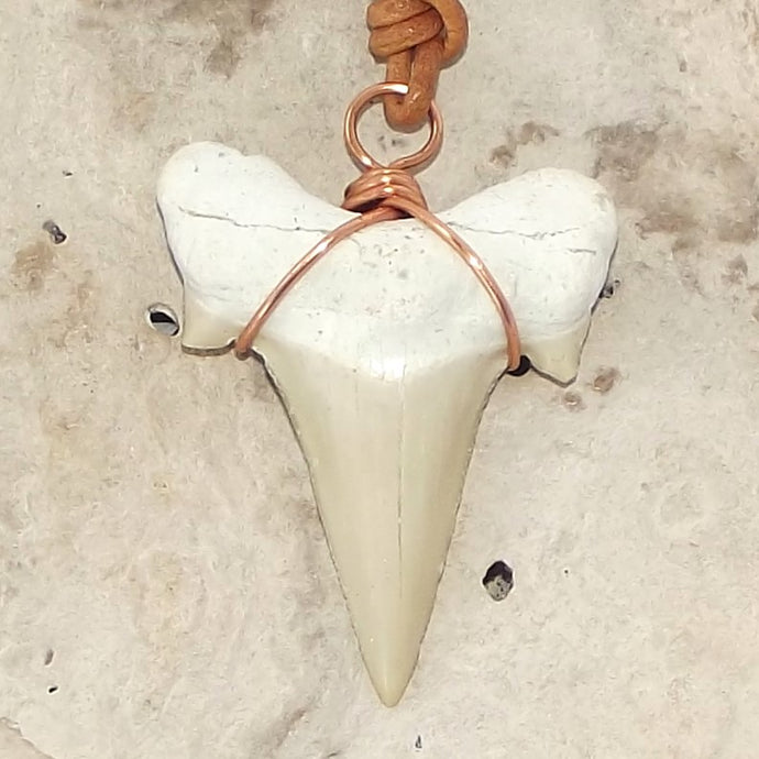 C. Auriculatus Fossil Shark Tooth (33-55 Million Years Old) Necklace