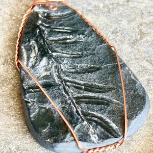 Pteridophyte Fossil Necklace (Large) - 300 Million Yrs Old