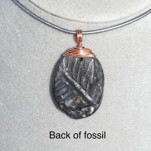 Pteridophyte Fossil Necklace (Small) - 300 Million Yrs Old