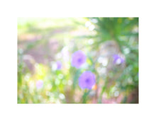 Load image into Gallery viewer, Photo Impressionism - Mexican Petunias